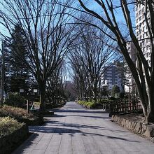 氷川参道