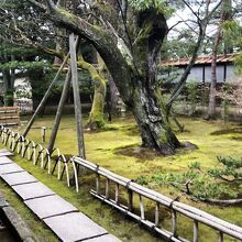 《「成巽閣」》入館券売り場付近の庭園風景