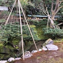 《「成巽閣」》「万年青の縁庭園」