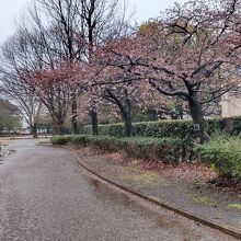 米の宮公園