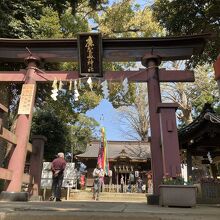 麻賀多神社