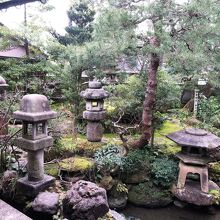 《武家屋敷跡 野村家》庭園風景