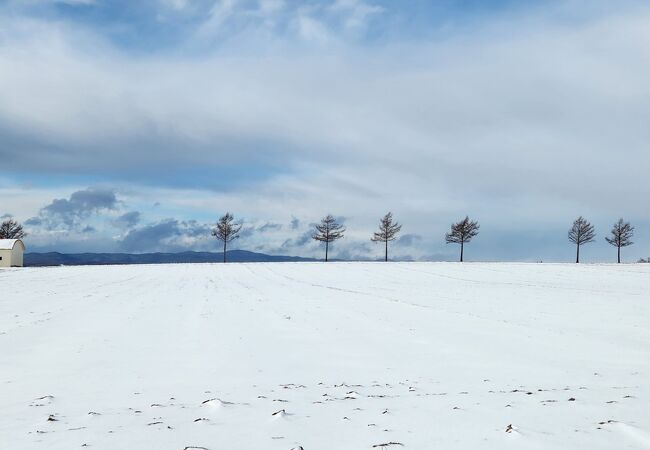 北海道らしい風景