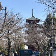 なんと関東で一番古い五重塔だそうです。