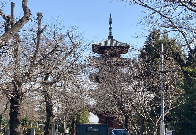 五重塔 (池上本門寺)