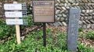 通りかかる人も少ない隠れスポットで、「尾山神社」や「鼠多門」のすぐそばにあります。