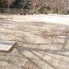 3月の平日午後、「香嵐渓広場」は、静かでした。