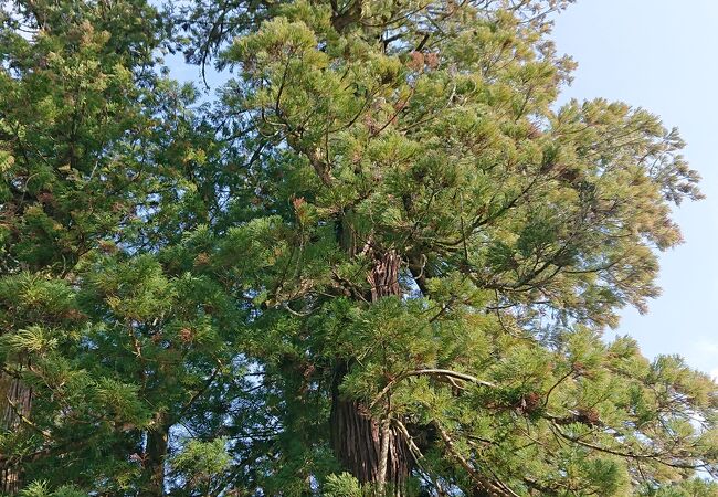 足助八幡宮