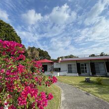 入り口のブーゲンビリアがピンクの屋根にマッチしてる
