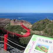 海に向かって鳥居が並ぶ絶景神社よ