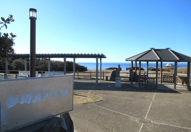 角島自生の草花が咲き誇る公園よ