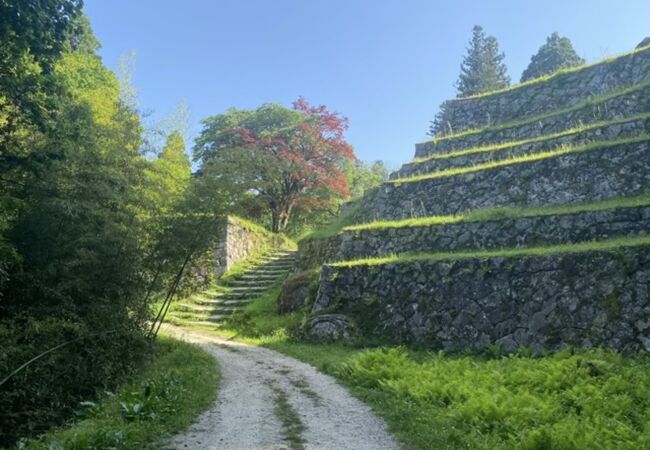 岩村城跡