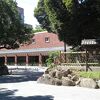 桜咲く中、ランチしてきました