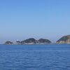 佐田岬も見れました