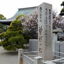 曽根天満宮