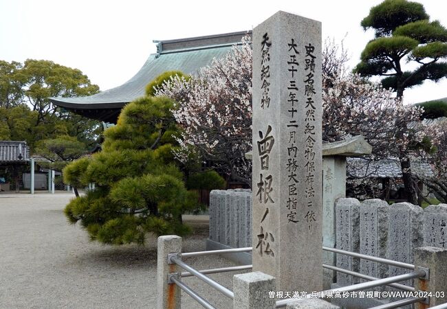 曽根天満宮