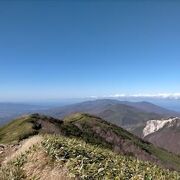 登山で