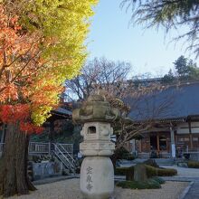 きれいな銀杏と紅葉