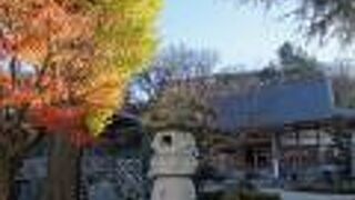 いちょうともみじがきれい