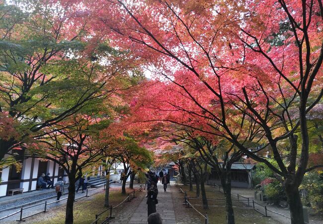 呑山観音寺