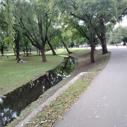 広い公園のような雰囲気