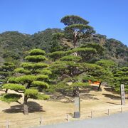 美しい日本庭園がありました