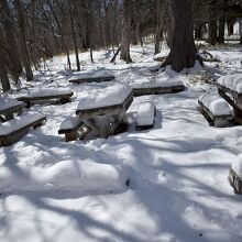 ベンチなどは雪で埋まっていて使えない場所がほとんど