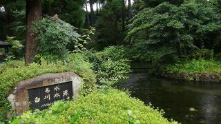 湧き上がる水が美しい