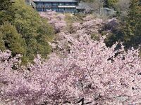 雨引山楽法寺(雨引観音)