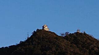 金華山に立地する、山城。