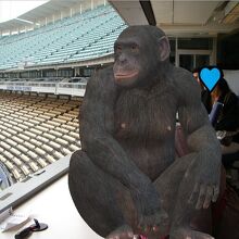 ドジャー・スタジアム プレス席の眺め