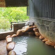 日帰り貸切温泉　かれい川の湯