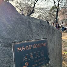 大宮公園の桜　さくら名所100選の地　プレート