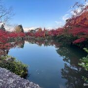 見事な紅葉