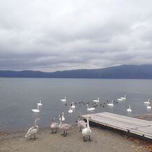 屈斜路湖 砂湯