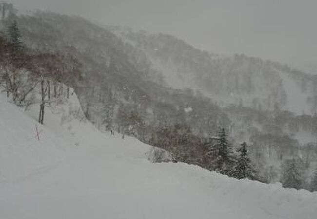 北海道グリーンランドホワイトパーク