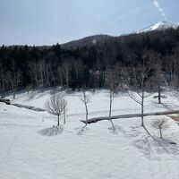 客室からの眺望