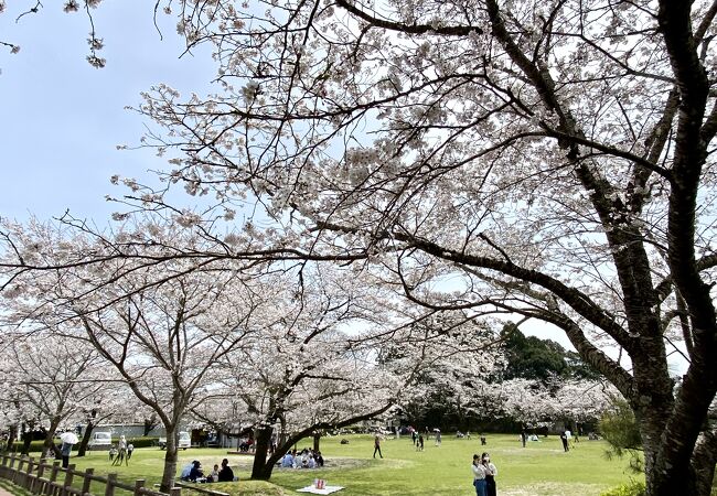 母智丘公園