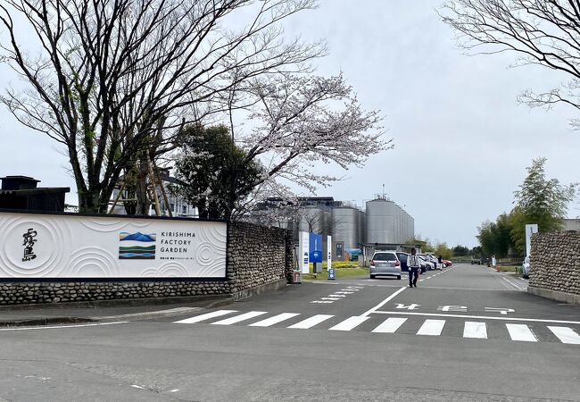 無料の工場見学では試飲ができる