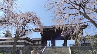 東郷寺