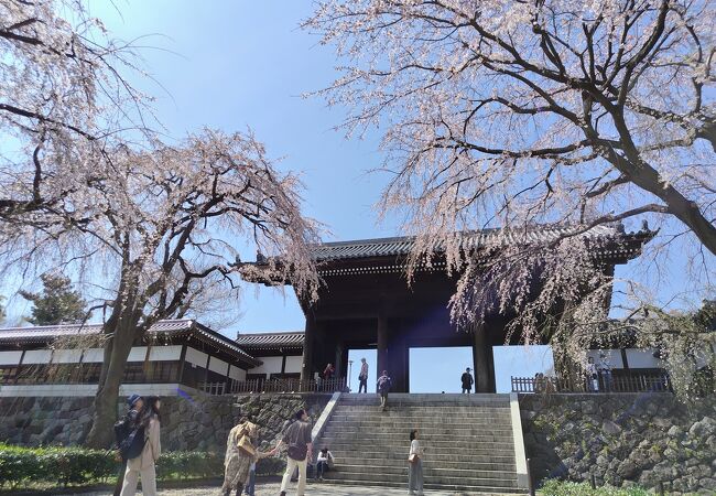 東郷寺