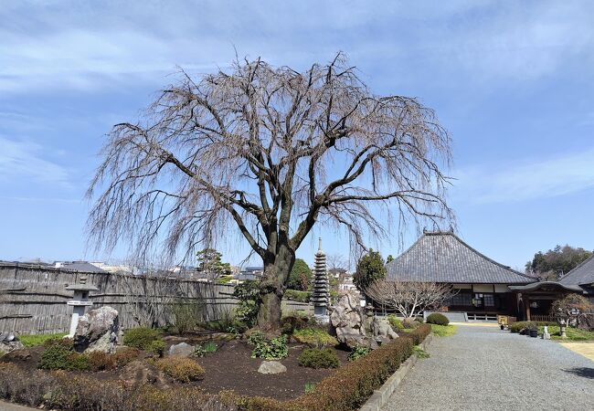 普門寺