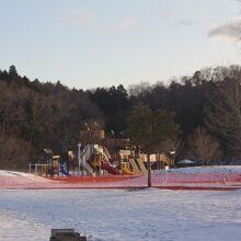 加瀬沼公園