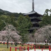 醍醐の花見