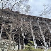 桜が咲き始め