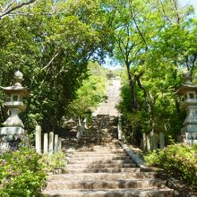 野見宿禰神社