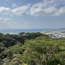 名護中央公園、天上展望台からの景色。