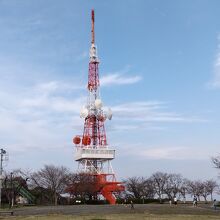 湘南平展望台(ＴＶ塔)