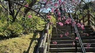 歴史ある拝所としてのグスク跡公園であった。