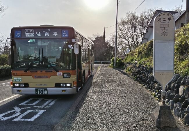 神奈川と言えば、このバス☆